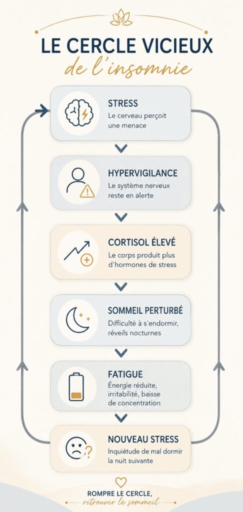 Schéma illustrant le cercle vicieux de l'insomnie : stress chronique, hypervigilance, cortisol élevé, sommeil perturbé, fatigue et retour du stress.