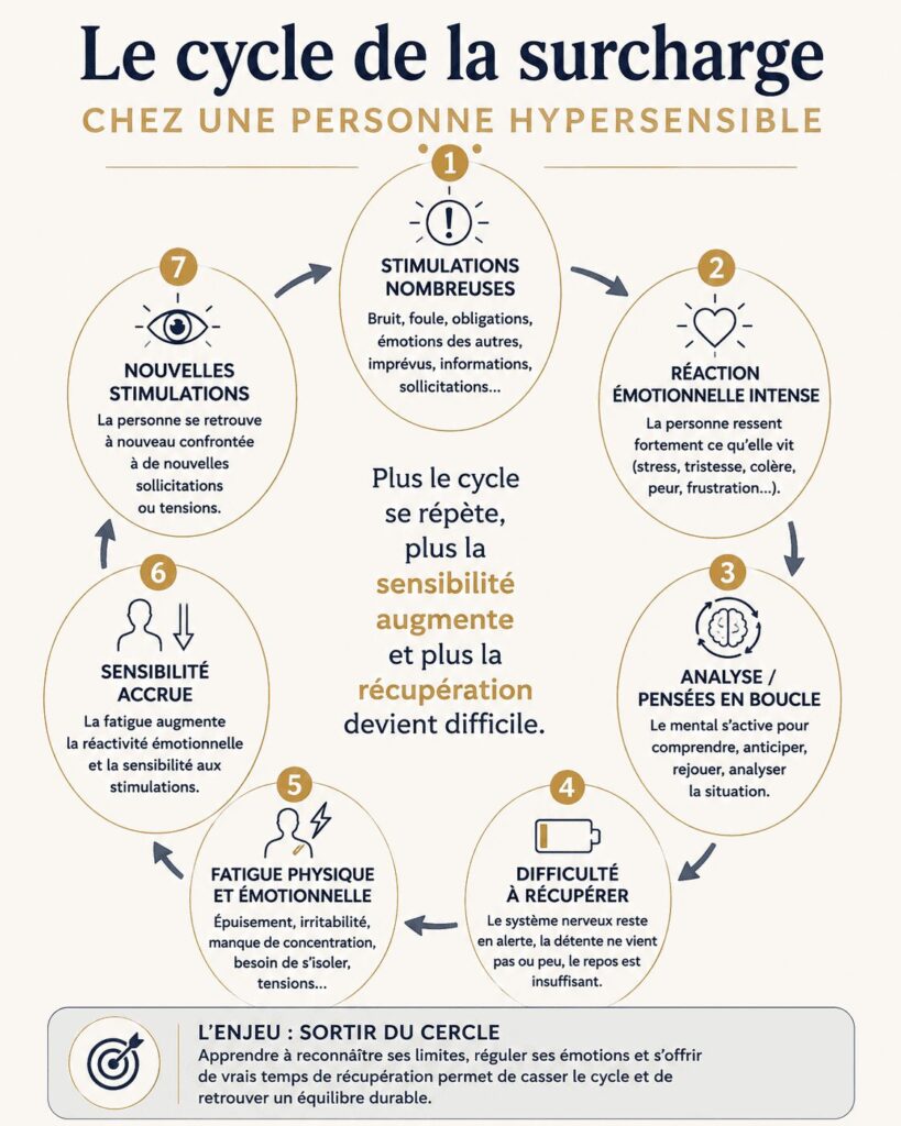 Schéma du cycle de la surcharge chez une personne hypersensible, des stimulations nombreuses à la fatigue et à la sensibilité accrue
