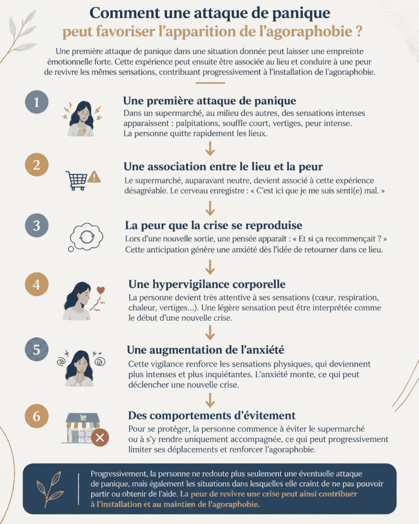 Schéma illustrant les 6 étapes par lesquelles une attaque de panique peut favoriser l'agoraphobie : peur, anticipation, hypervigilance, anxiété et évitement.